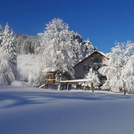 Kuhberg At The Schwarzenbuhl Farm Апартаменты